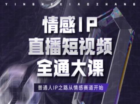 情感IP直播短视频全通大课，普通人IP之路从情感赛道开始-云网创