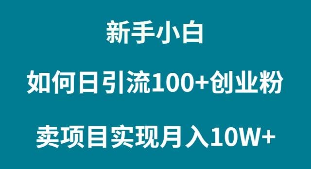 (9556期)新手小白如何通过卖项目实现月入10W+-云网创