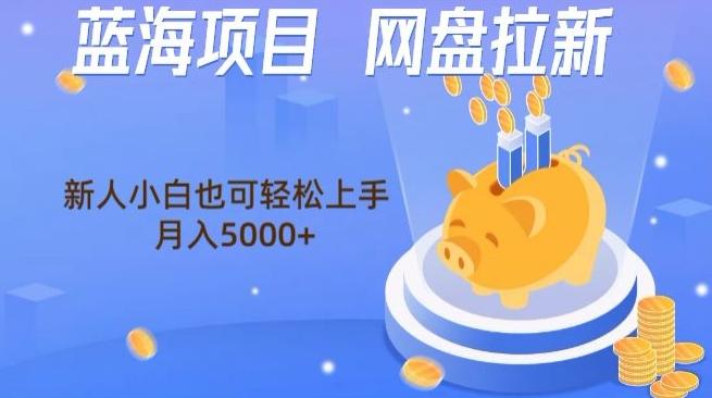 蓝海项目网盘拉新，新人小白也可操作，每月收入5000+-云网创