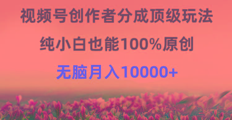 (9608期)视频号创作者分成顶级玩法，纯小白也能100%原创，无脑月入10000+-云网创