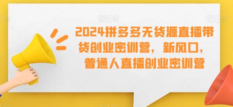 2024拼多多无货源直播带货创业密训营,新风口,普通人直播创业密训营-云网创