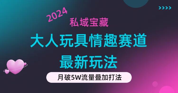 私域宝藏：大人玩具情趣赛道合规新玩法，零投入，私域超高流量成单率高-云网创