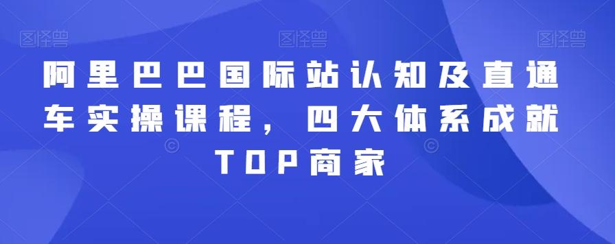 阿里巴巴国际站认知及直通车实操课程，四大体系成就TOP商家-云网创