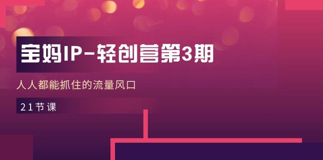 宝妈IP-轻创营第3期，人人都能抓住的流量风口(21节课-云网创