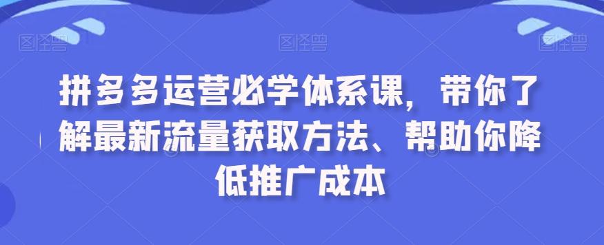拼多多运营必学体系课，带你了解最新流量获取方法、帮助你降低推广成本-云网创