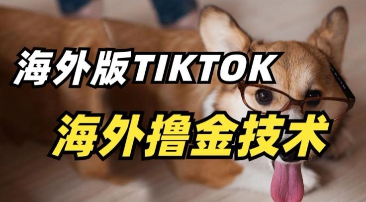 抖音海外版tiktok撸金技术，这个风口行业，赚钱真的不难【揭秘】-云网创