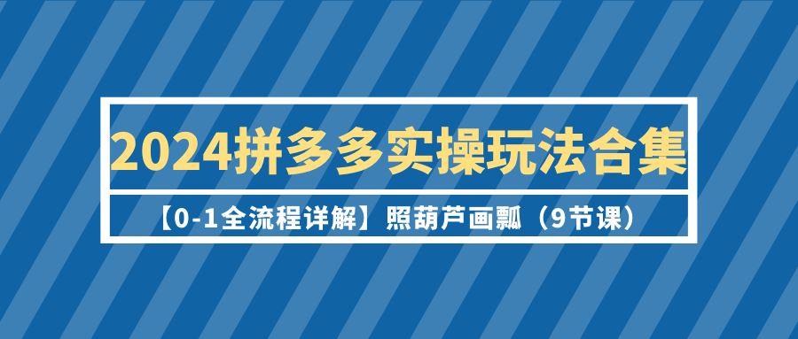(9559期)2024拼多多实操玩法合集【0-1全流程详解】照葫芦画瓢(9节课)-云网创