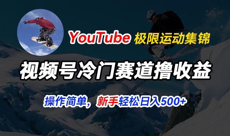 视频号冷门赛道撸收益，YouTube搬运极限运动集锦，暴力起号，操作简单流量高，轻松日入5张【揭秘】-云网创