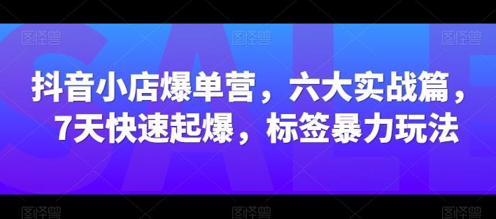 抖音小店爆单营，六大实战篇，7天快速起爆，标签暴力玩法-云网创
