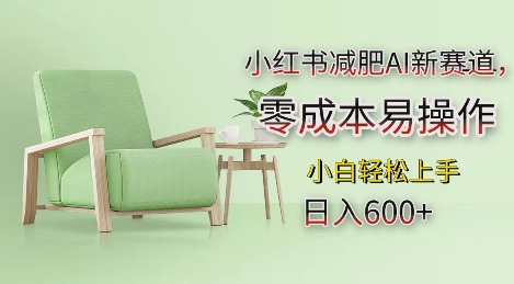 小红书减肥AI新赛道，零成本易操作，日入多张，小白轻松上手【揭秘】-云网创