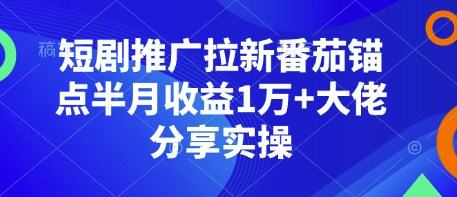 短剧推广拉新番茄锚点半月收益1万+大佬分享实操-云网创