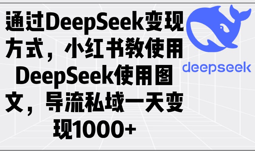 通过DeepSeek变现方式，小红书教使用DeepSeek图文，导流私域一天变现1000+-云网创