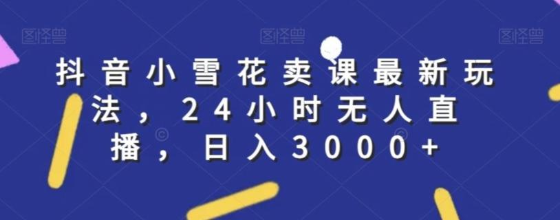 抖音小雪花卖课最新玩法，24小时无人直播，日入3000+【揭秘】-云网创