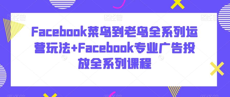 Facebook菜鸟到老鸟全系列运营玩法+Facebook专业广告投放全系列课程-云网创