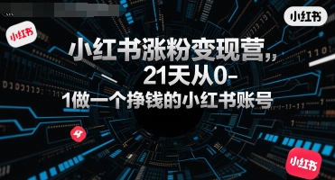 小红书涨粉变现营，21天从0-1做一个挣钱的小红书账号-云网创