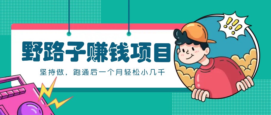 一个人就能操作的野路子赚钱项目，零成本零门槛坚持做，跑通后一个月小几千！-云网创