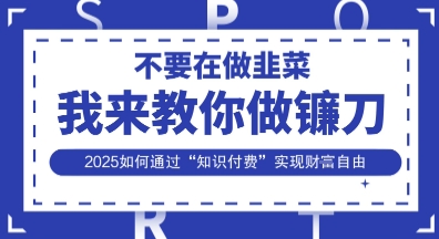 韭菜生涯终结者，我来教你做镰刀，2025如何通过“知识付费”实现财F自由【揭秘】-云网创