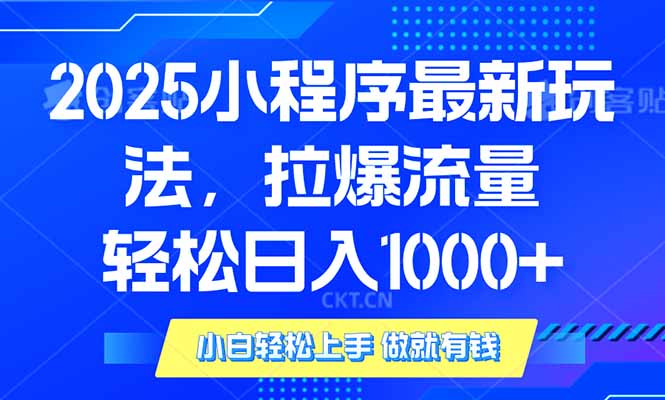 2025年小程序最新玩法,流量直接拉爆,单日稳定变现1000+-云网创