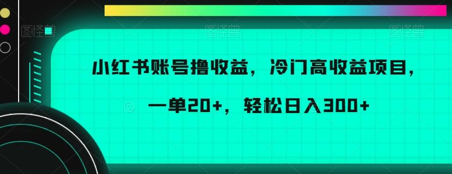 小红书账号撸收益,冷门高收益项目,一单20+,轻松日入300+【揭秘】-云网创