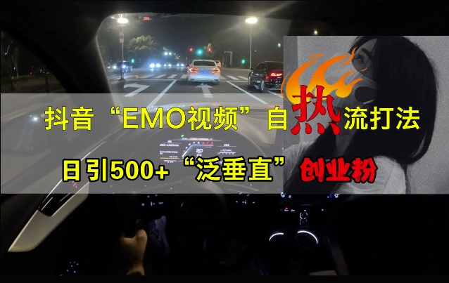 抖音EMO视频自热打法，日引500+“泛垂直”创业粉-云网创