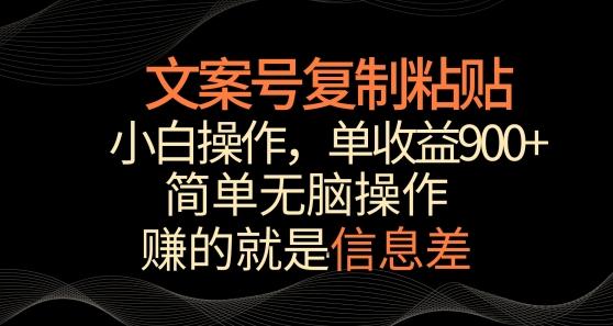 文案号掘金，简单复制粘贴，小白操作，单作品收益900+【揭秘】-云网创