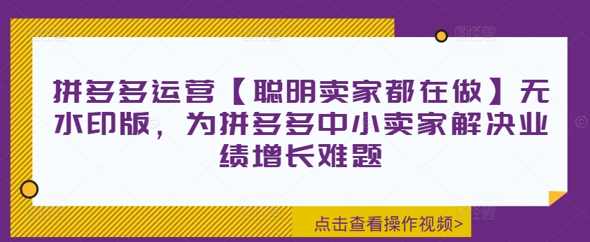 拼多多运营【聪明卖家都在做】无水印版，为拼多多中小卖家解决业绩增长难题-云网创