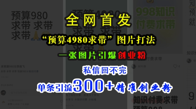 小红书“预算4980带我飞”图片打法,一张图片引爆创业粉,私信回不完,单条引流300+精准创业粉-云网创