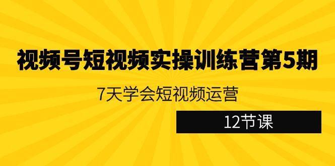 视频号短视频实操训练营第5期：7天学会短视频运营(12节课)-云网创