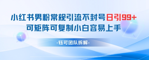 小红书男粉常规引流不封号日引99+变现简单 可矩阵可复制小白容易上手-云网创