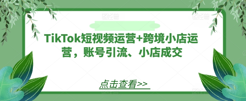 TikTok短视频运营+跨境小店运营，账号引流、小店成交-云网创