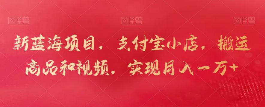 新蓝海项目，支付宝小店，搬运商品和视频，实现月入一万+【揭秘】-云网创