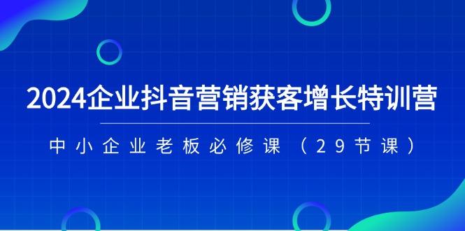 2024企业抖音-营销获客增长特训营，中小企业老板必修课(29节课-云网创