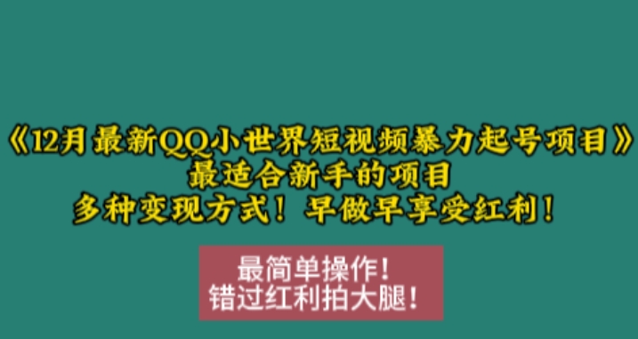 12月最新QQ小世界短视频暴力起号项目,最适合新手的项目,多种变现方式-云网创