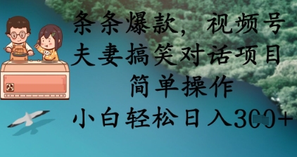 条条爆款，视频号夫妻搞笑对话项目，简单操作，小白轻松日入3张+-云网创