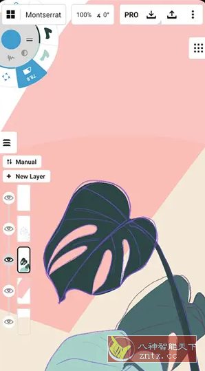 概念画板 v2025.06.4高级版-云网创