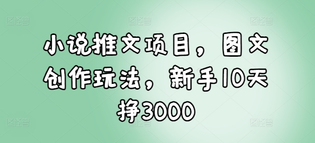 小说推文项目，图文创作玩法，新手10天挣3000-云网创