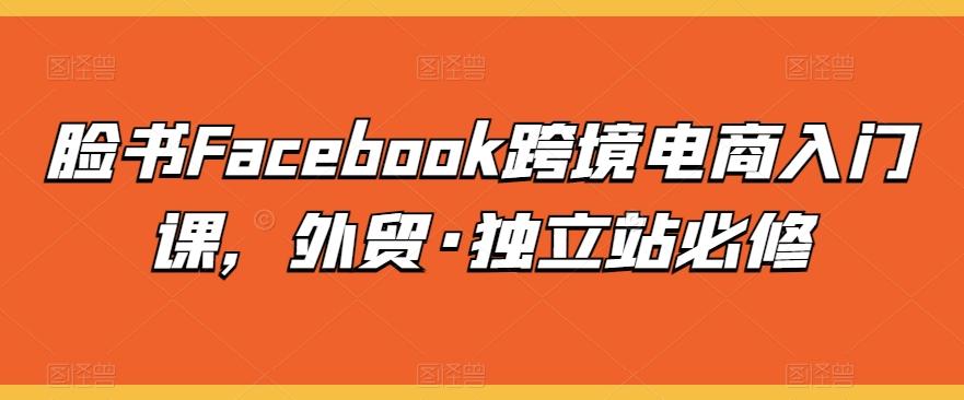 脸书Facebook跨境电商入门课，外贸·独立站必修-云网创