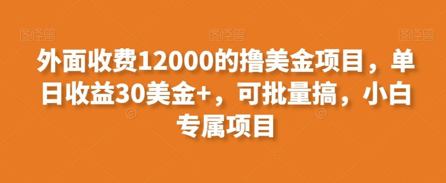外面收费12000的撸美金项目，单日收益30美金+，可批量搞，小白专属项目-云网创