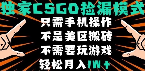 CSGO自动捡漏项目，最新独家玩法，不是美区搬砖，不需要了解和玩游戏，新手小白轻松月入1W+【揭秘】-云网创