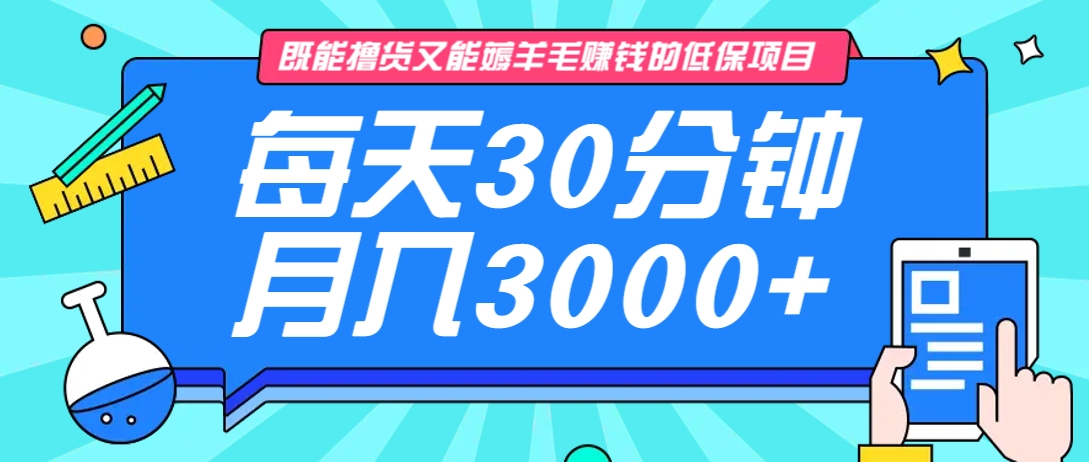 既能撸货又能赚钱的长期低保项目,每天30分钟,多号百分百稳定月入3000+!-云网创