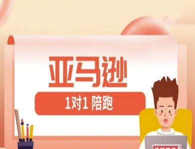 亚马逊1对1陪跑课(FBA/FBM精铺)跨境亚马逊教程-云网创