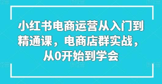 小红书电商运营从入门到精通课，电商店群实战，从0开始到学会-云网创