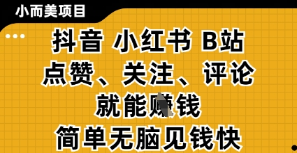 小而美的项目，抖音小红书B站视频点赞、关注、评论就能挣钱，简单无脑立见收益，妥妥的零撸项目【揭秘】-云网创