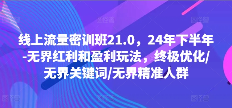 线上流量密训班21.0，24年下半年-无界红利和盈利玩法，终极优化/无界关键词/无界精准人群-云网创