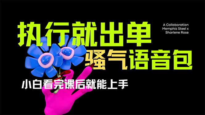 爆火全网的开车导航骚气语音包,只要执行就出单，小白看完课程就能实操...-云网创