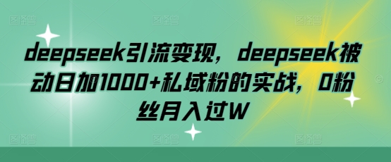 deepseek引流变现，deepseek被动日加1000+私域粉的实战，0粉丝月入过W-云网创