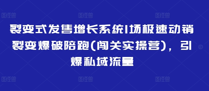 裂变式发售增长系统1场极速动销裂变爆破陪跑(闯关实操营),引爆私域流量-云网创