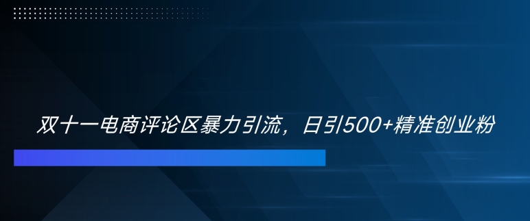 双十一电商评论区暴力引流，日引500+精准创业粉【揭秘】-云网创