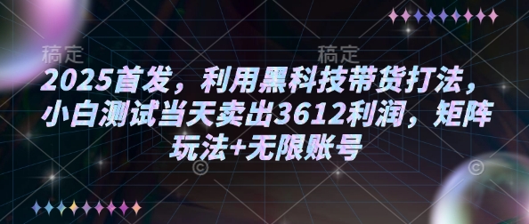 2025首发,利用黑科技带货打法,小白测试当天卖出3612利润,矩阵玩法+无限账号【揭秘】-云网创