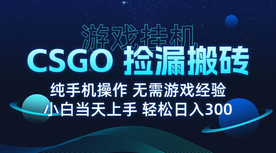 （15820期）8月最新游戏搬砖，CSGO纯挂机，不需要玩游戏，实现真挂机，月入1W+-云网创